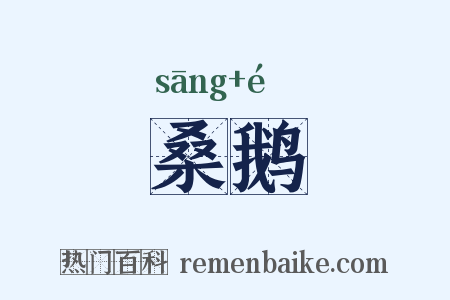 桑鹅是什么意思的图片
